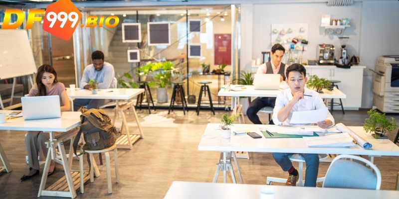 Nền tảng tạo ra một môi trường làm việc chuyên nghiệp và chất lượng