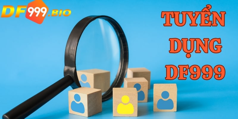 Thông tin về tuyển dụng DF999 chi tiết